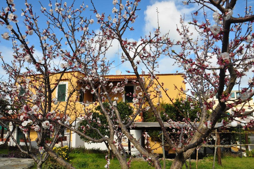 La Marticana Hotel Ischia